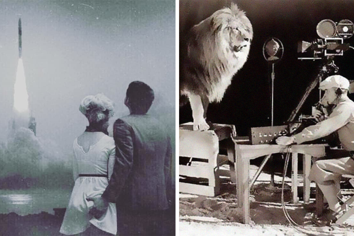 1000 Interesting Colorful Photos Pexels Free Stock Photos