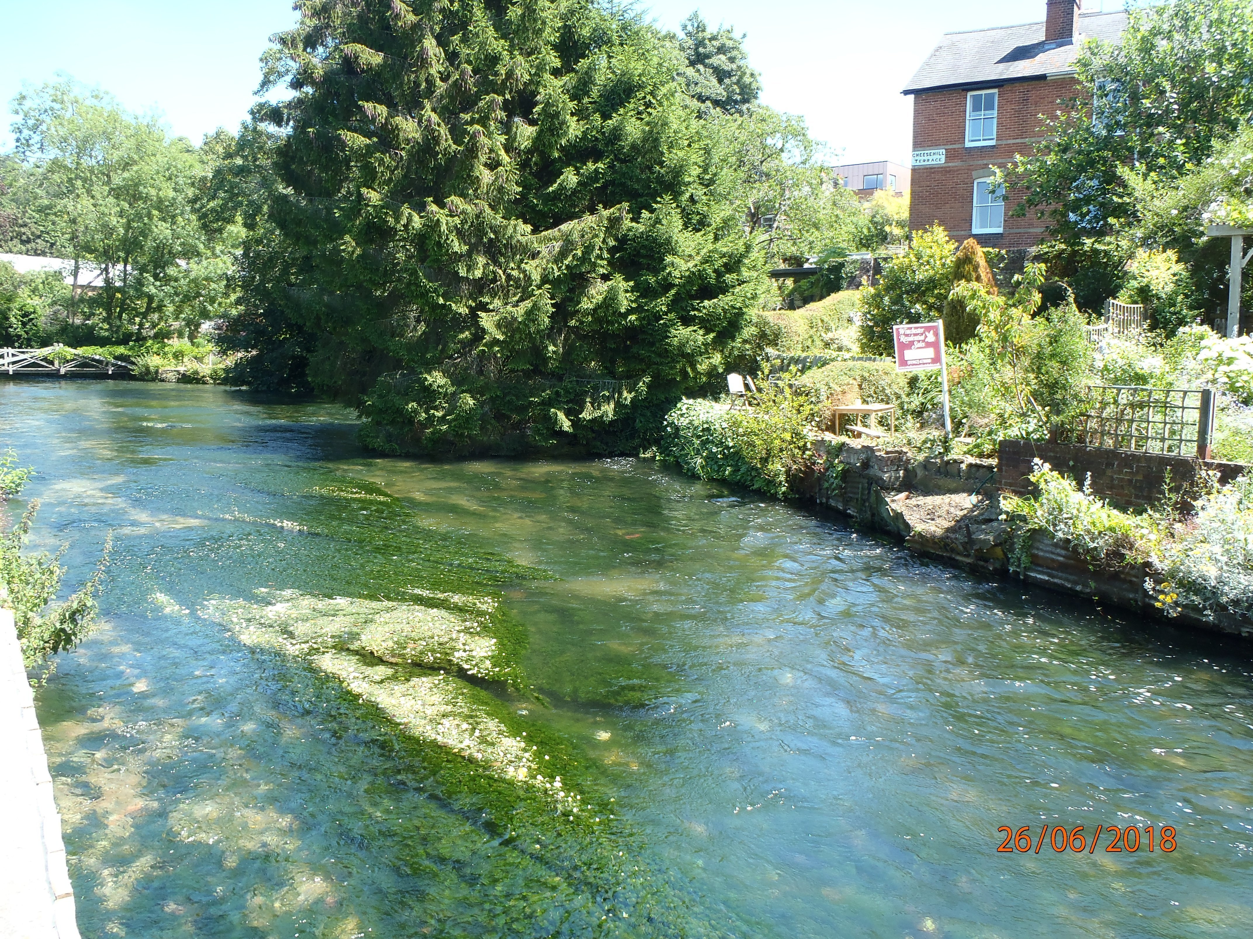 Vicinity Of The Head Of Old River Study Area Depicting Salmonid Release