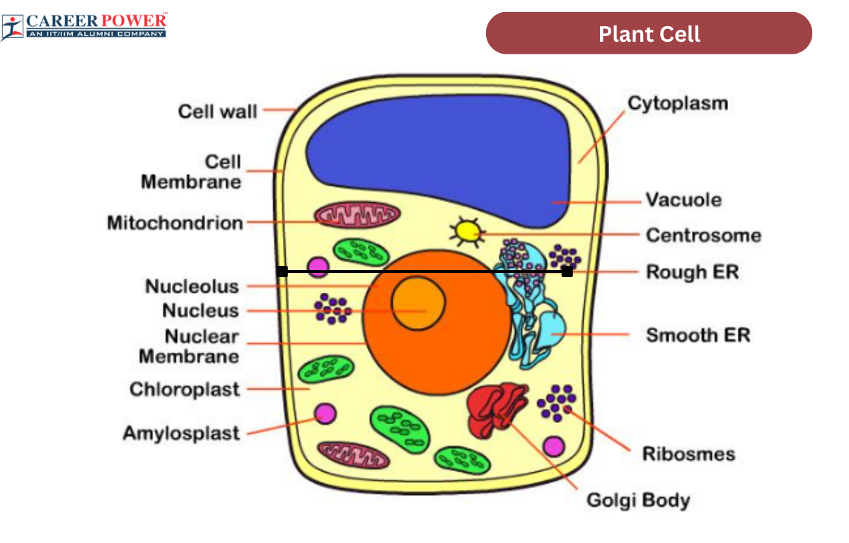 Cell Press Trends In Cell Biology