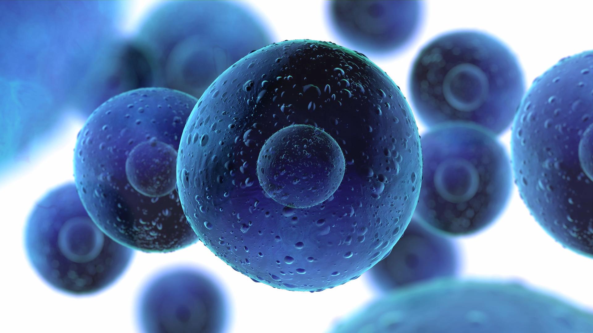 Cells Used In Watches