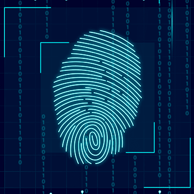 Biometric Based Aadhaar Authentication