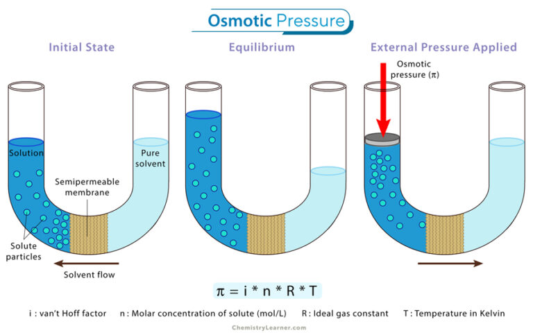 Osmotic Pressure In Hindi
