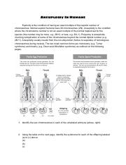 Exploring The Link Between Maternal Age And Aneuploidy Case Course Hero