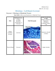 Bio 201 Practical 2 Histology Pdf Bio 201 Practical 2 Histology Bone