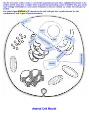 Interaction Between Cellular Organelle Networks Classifies Into