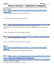 Adaptations Natural Selection Webquest Doc Name Adaptations