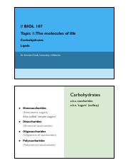 Understanding Carbohydrates And Lipids In Molecular Biology Course Hero