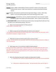 Exploring Photosynthesis Lab Analysis And Ideal Conditions Course Hero