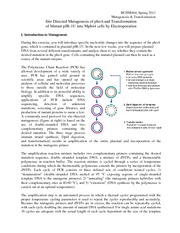 Site Directed Mutagenesis And Protein Engineering In Course Hero