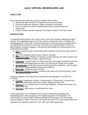 Biol202 Week 2 Lab 2 Introduction To The Microscope Course Resources