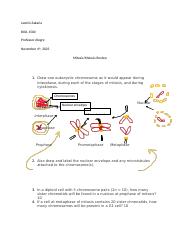 Mastering Mitosis And Meiosis Key Concepts And Processes Course Hero 67e9035943d3f