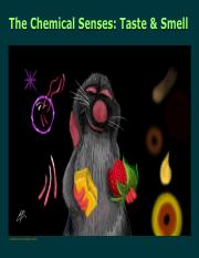 04 Chemical Senses Pdf Taste Olfaction