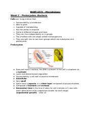 Micro Lecture 3 Lecture 3 Prokaryoteseukaryotes Continued September
