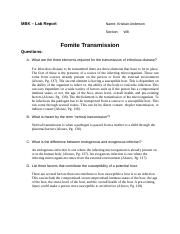 Difference Between Exogenous And Endogenous Budding