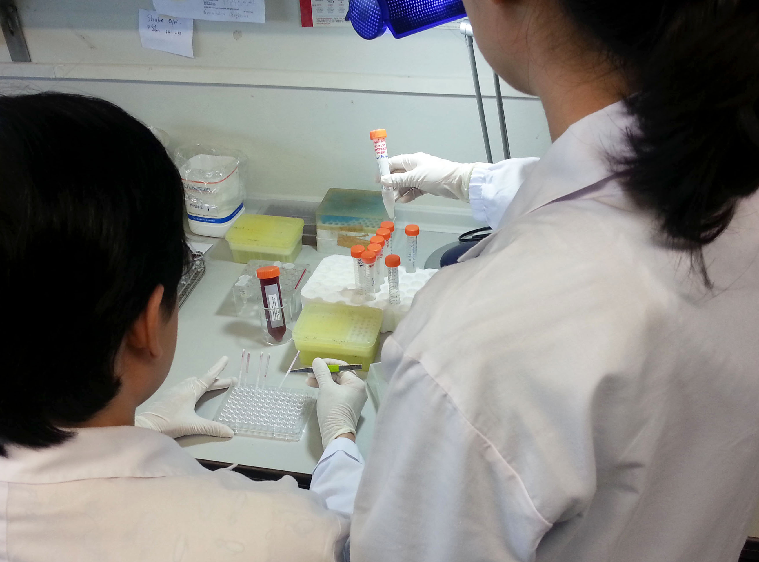 Microbial Diagnostic Reagents In The Real World 5 Uses You Ll Actually