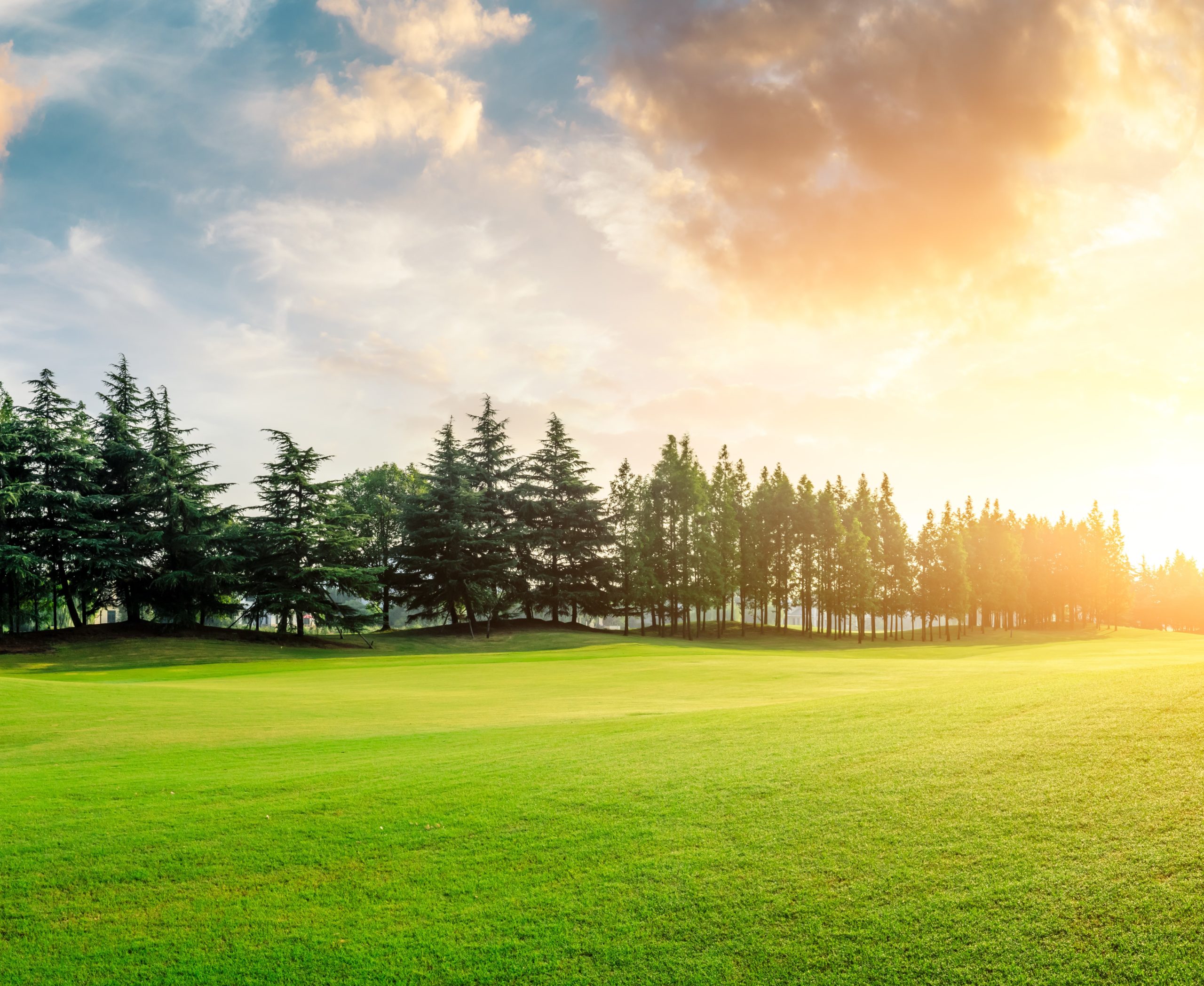 The Environmental Impact Of Plastic