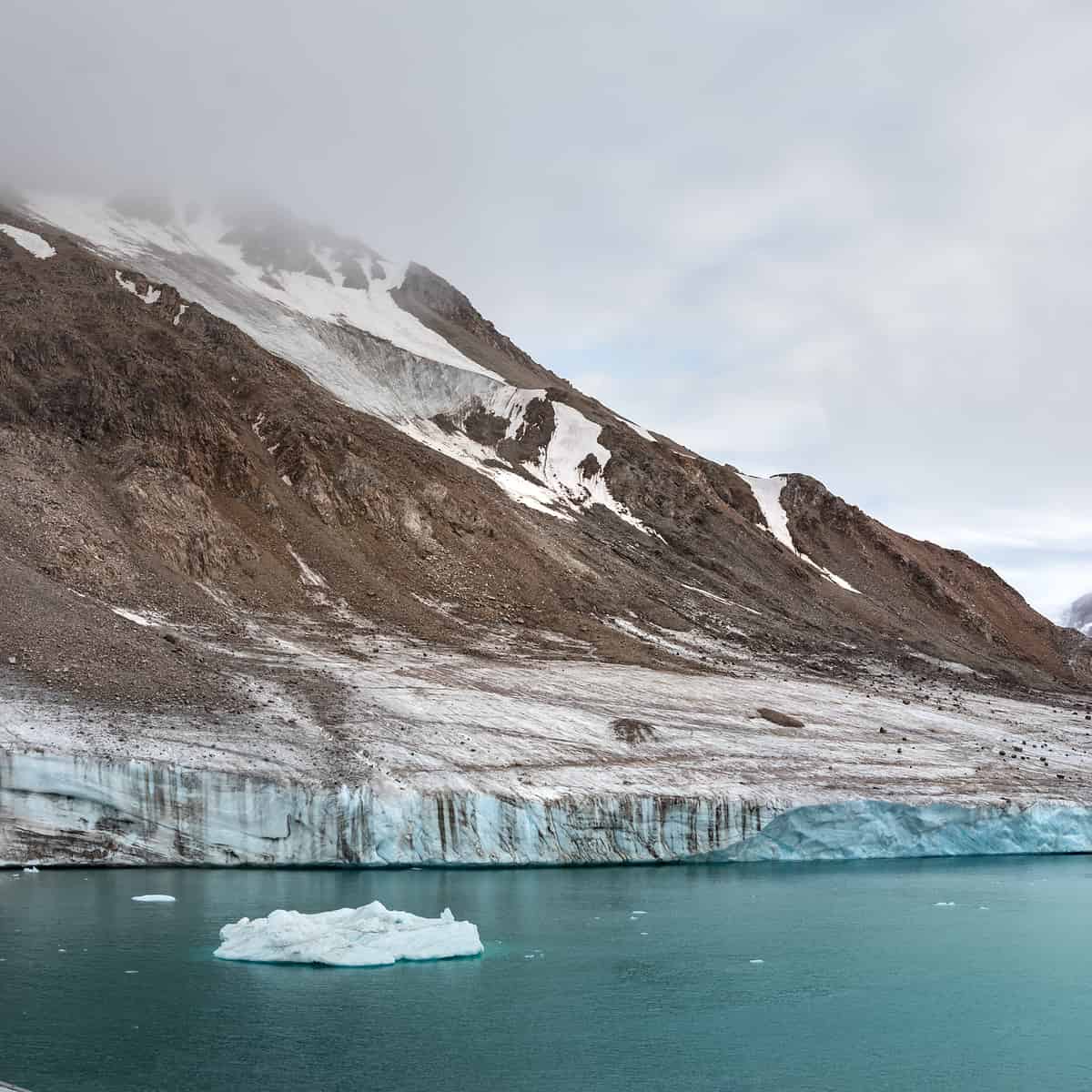Unexpected Discovery Marine Bacteria In Canadian Arctic Capable Of
