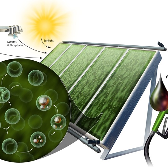 Nicolle R Fuller New Technology Art Lasers Nanosensors And More