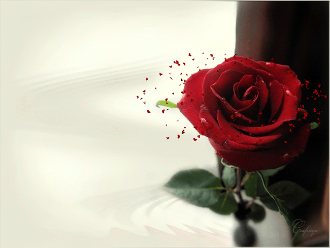 Arrow Of Success Victory For Goal Stock Photo Alamy