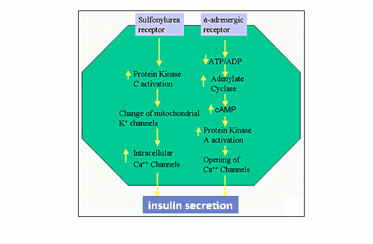 Fig27 Top Steroidogenesis Endotext