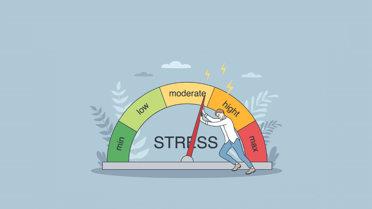 Stress Analysis On A Plate With Hole Projects Skill Lync