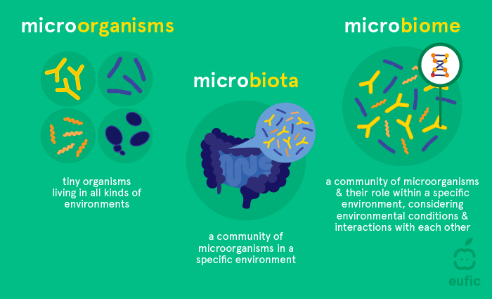 Microbiome Drug Development 2023 In Review Microbiome Times Magazine