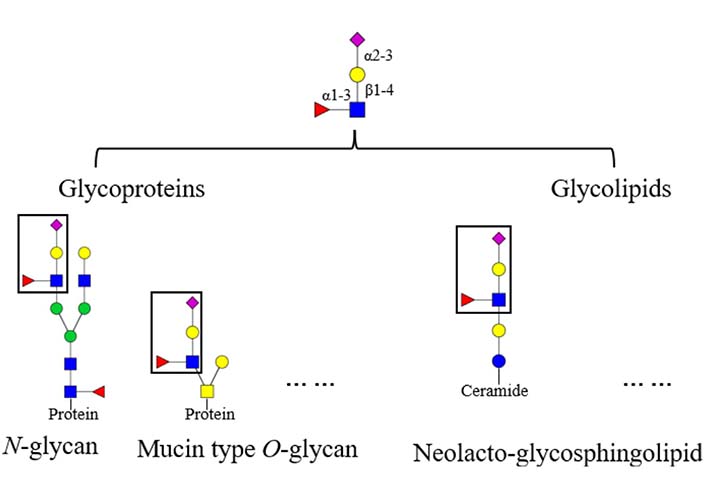 Lewis Structures And The Lewis Model Of Bonding Understanding Course