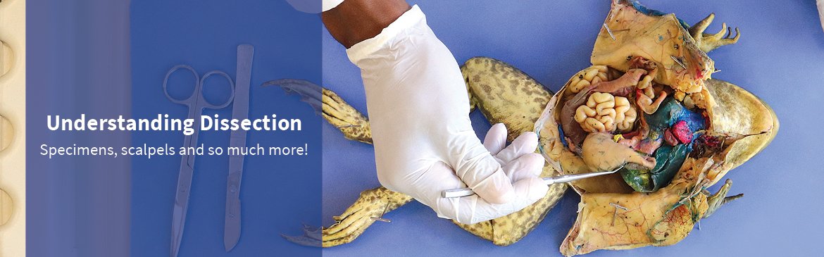 Dissecting Bacterial Infections At The Single Cell Level Rna Seq Blog