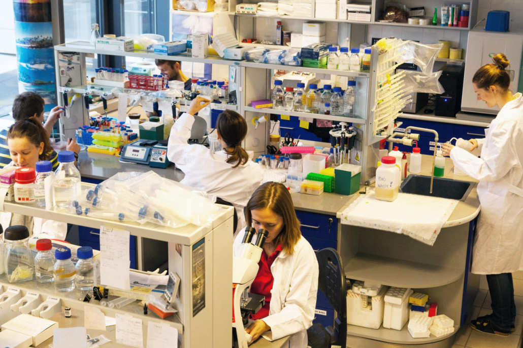 Pdf From Genome Integrity To Cancer