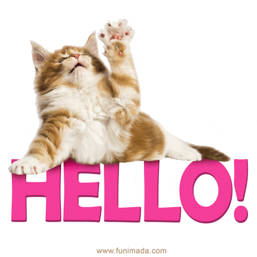 Hello Neighbor Review House Breaking Is Difficult Indie Hive Reviews