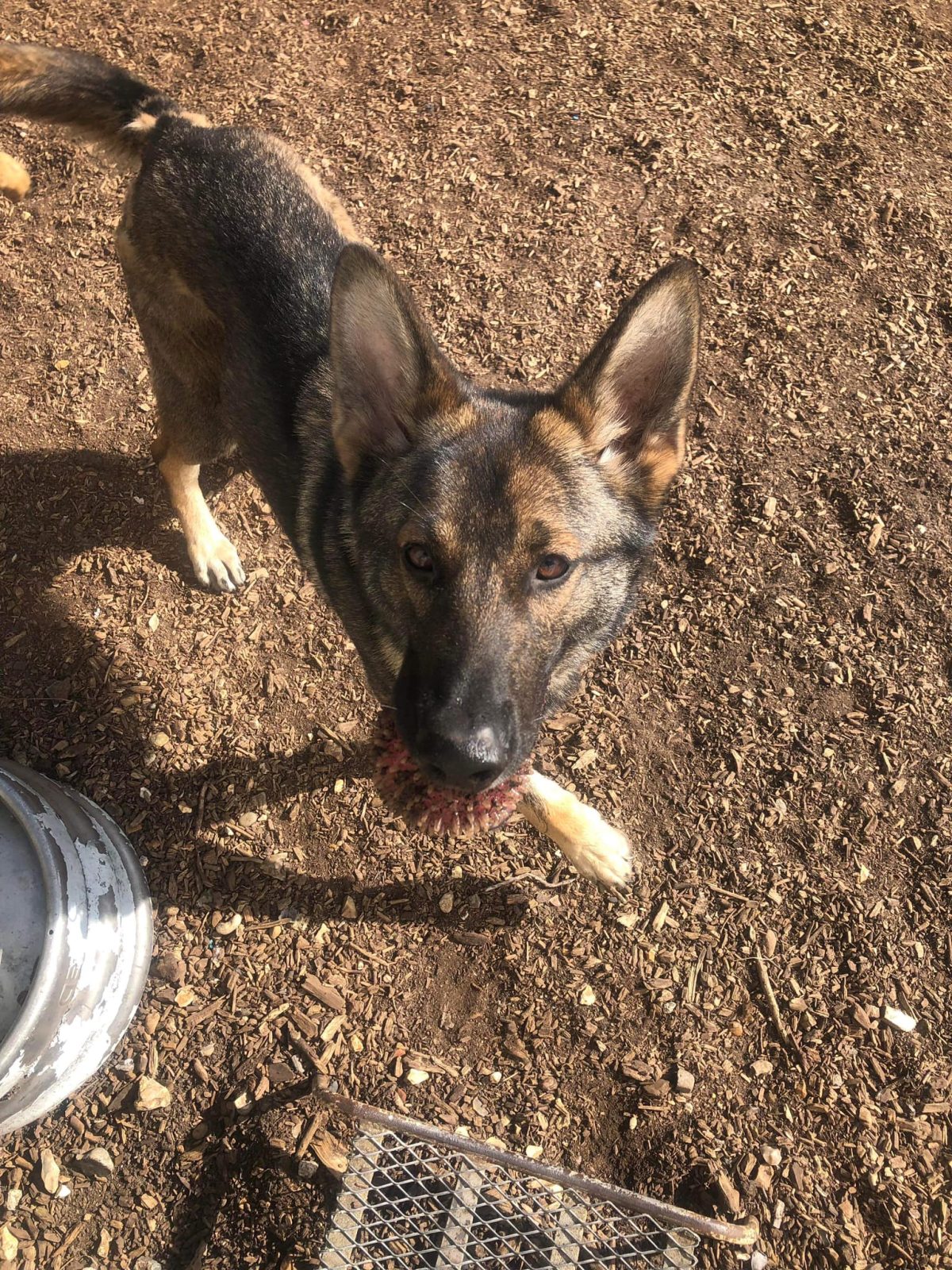 Just Found Live Action Gortash People He S So Handsome Rokbuddybaldur