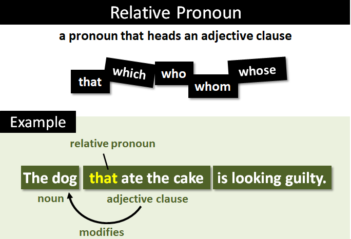 Relative Expression Levels Of The 11 Candidate Genes In Stad Tumor And