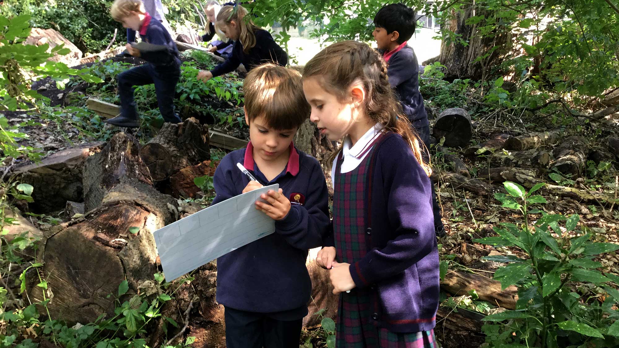 Childcare Parent Portal Login