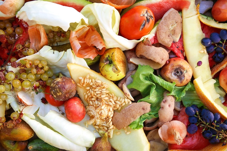 Organic Waste From Food Industry Prepared For Biogas Tests Download