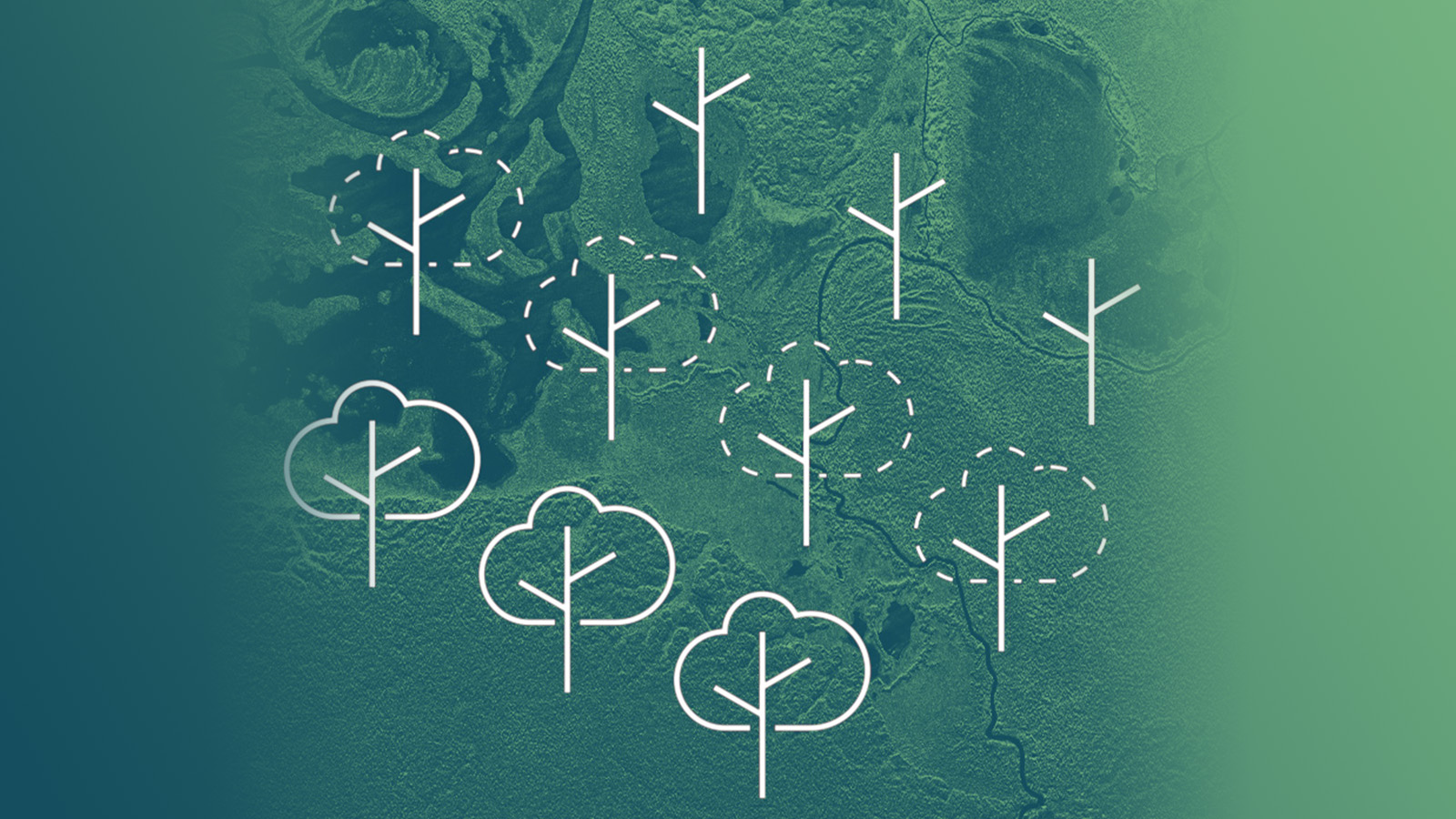 Overview Of Approaches For Identifying Forest Degradation In Satellite