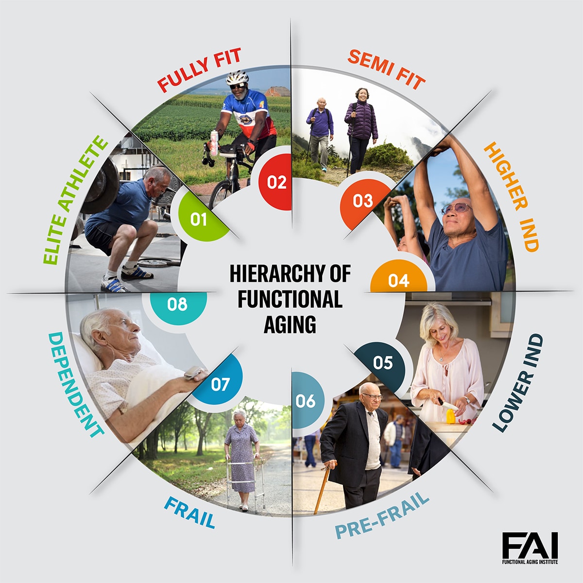 Functional Grouping Of Genes Differentially Expressed Between Signature