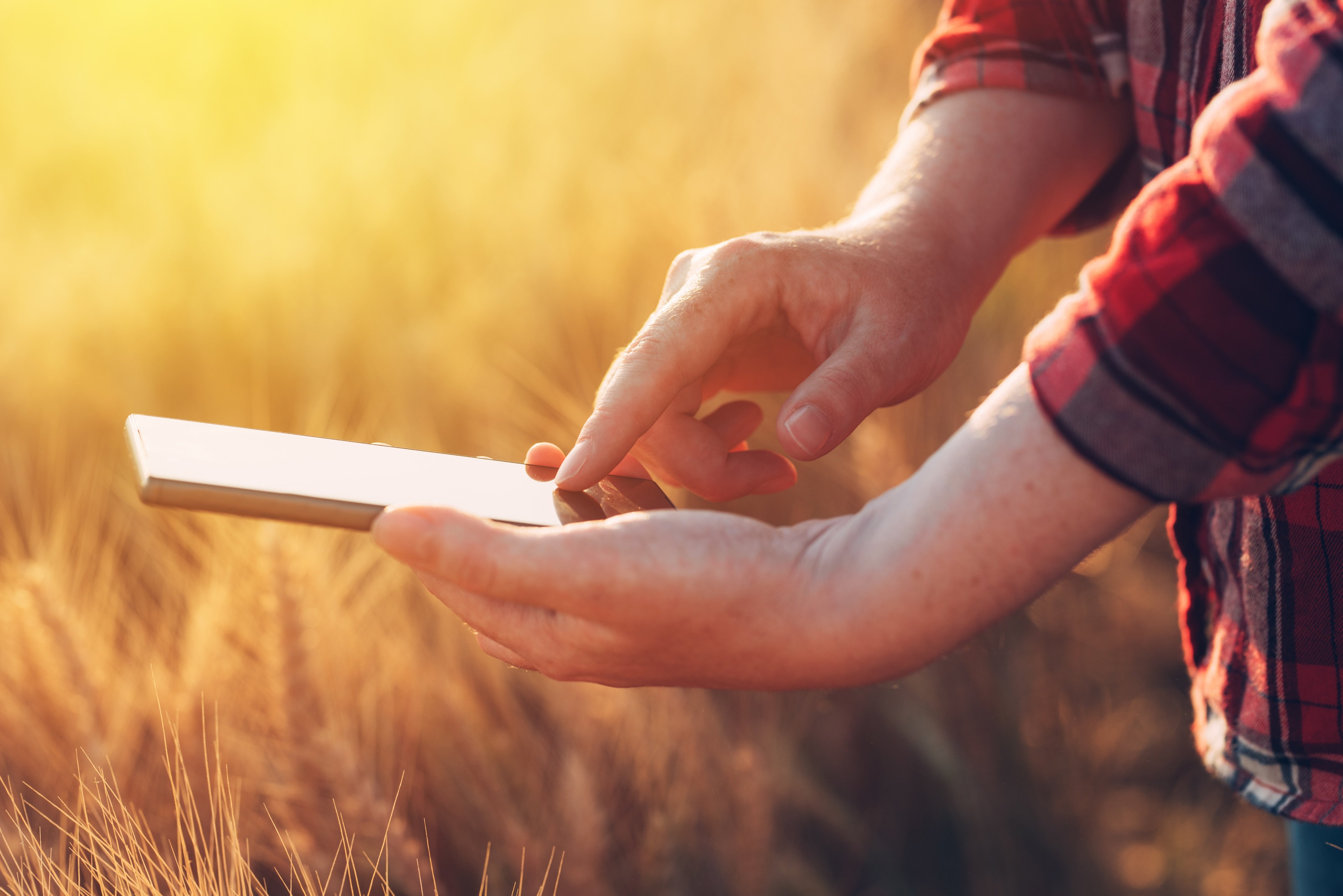 Agricultural Science A Global Overview Indigo