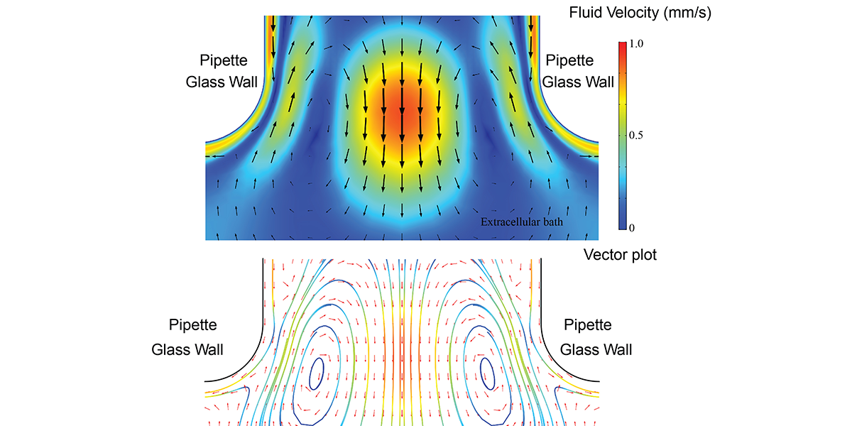 Biophysics Things We Don T Know