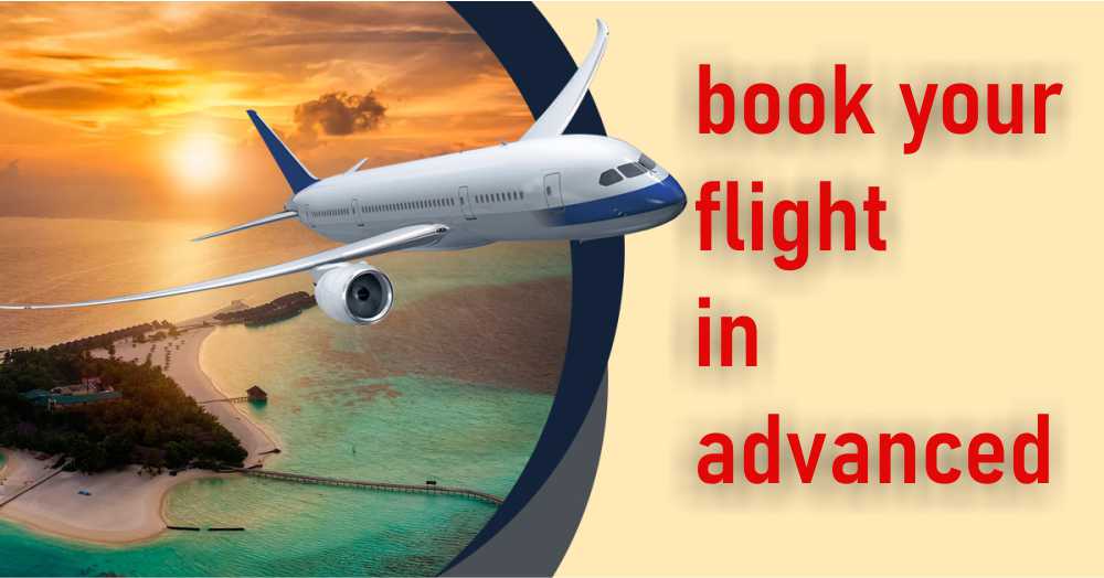 Bookings Flights