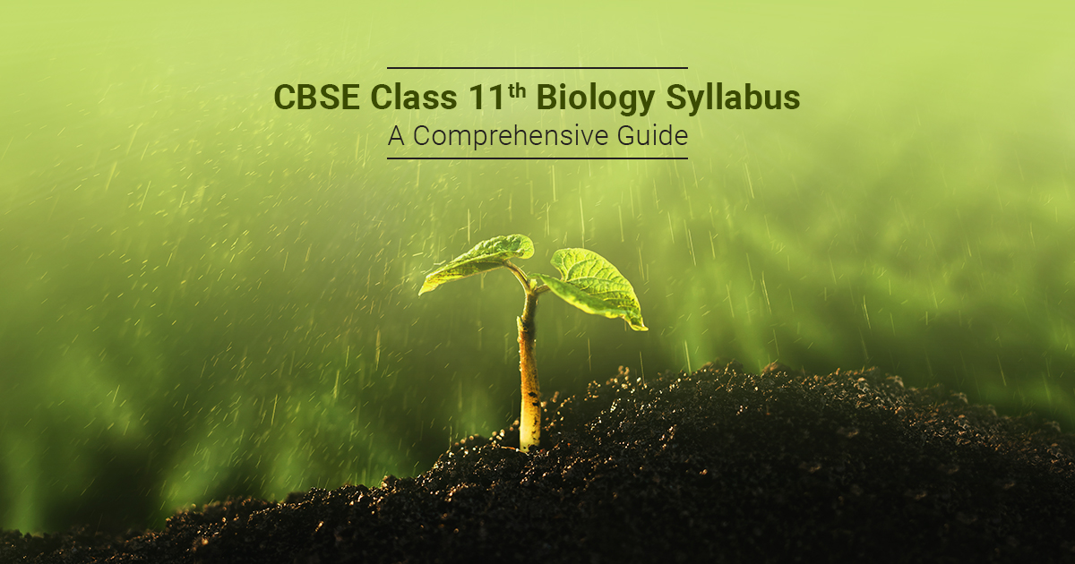 Cbse Class 11 Biology Syllabus Pdf Pdf