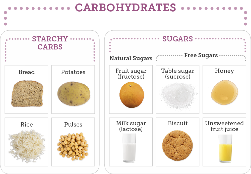 Carbohydrates Concept Notes Molecular Biology Uphsd Studocu