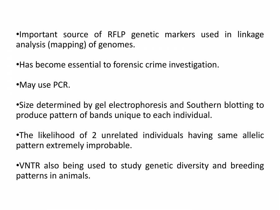 Representation Picture Of Restriction Fragment Length Polymorphism