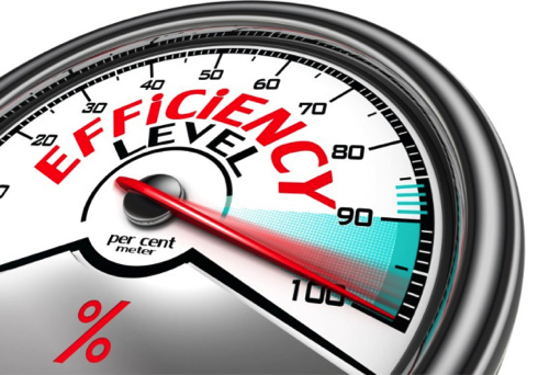 Efficient Pollen Identification