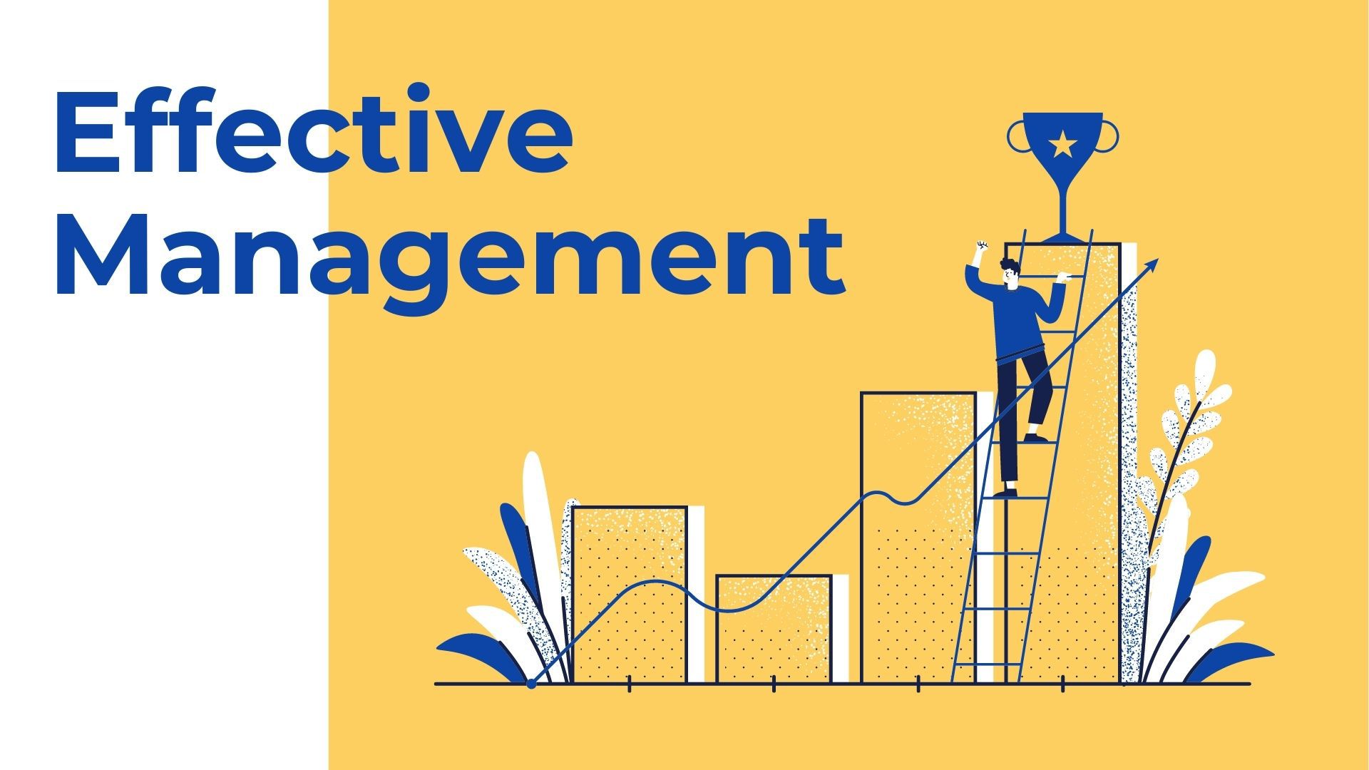 Effective Spatial Resolution The 2d Spatial Fourier Transform Was