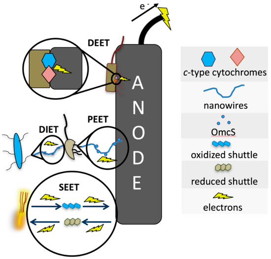 Microbial Fuel Cells Download Free Pdf Physical Sciences Chemistry