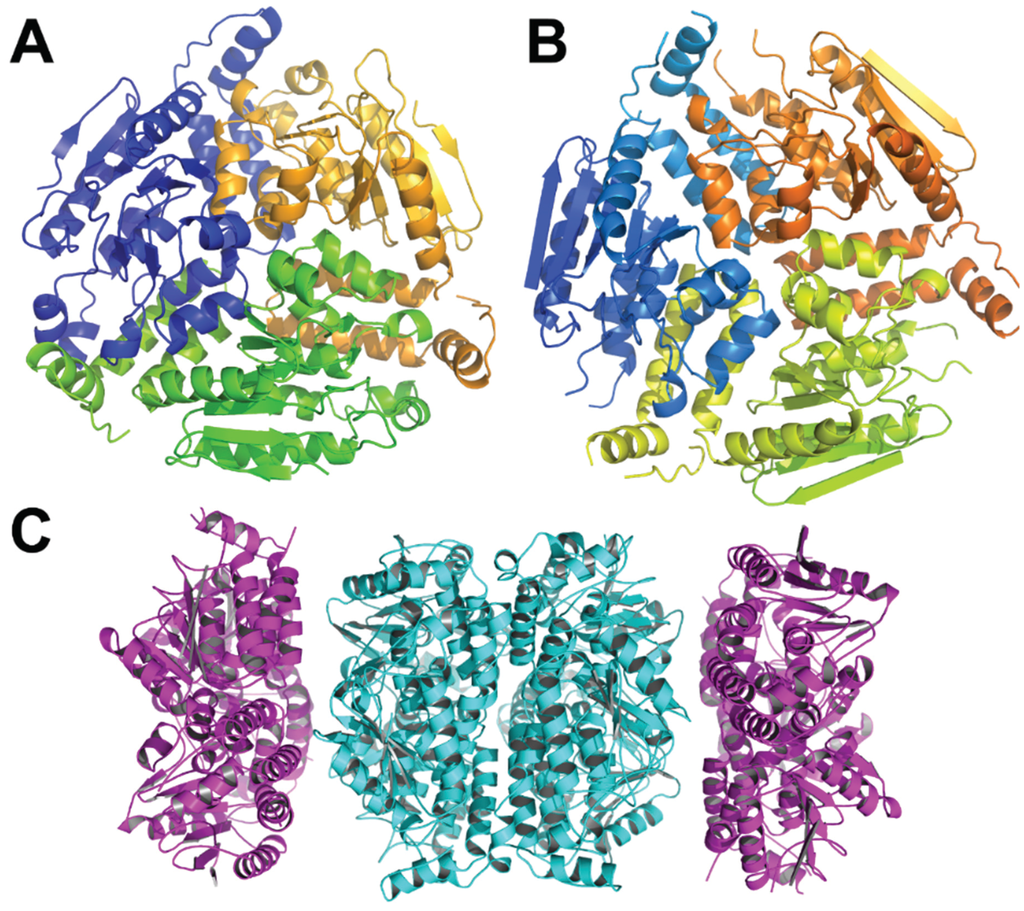Phys Org On Linkedin Biophysicists Reveal How Three Proteins Interact