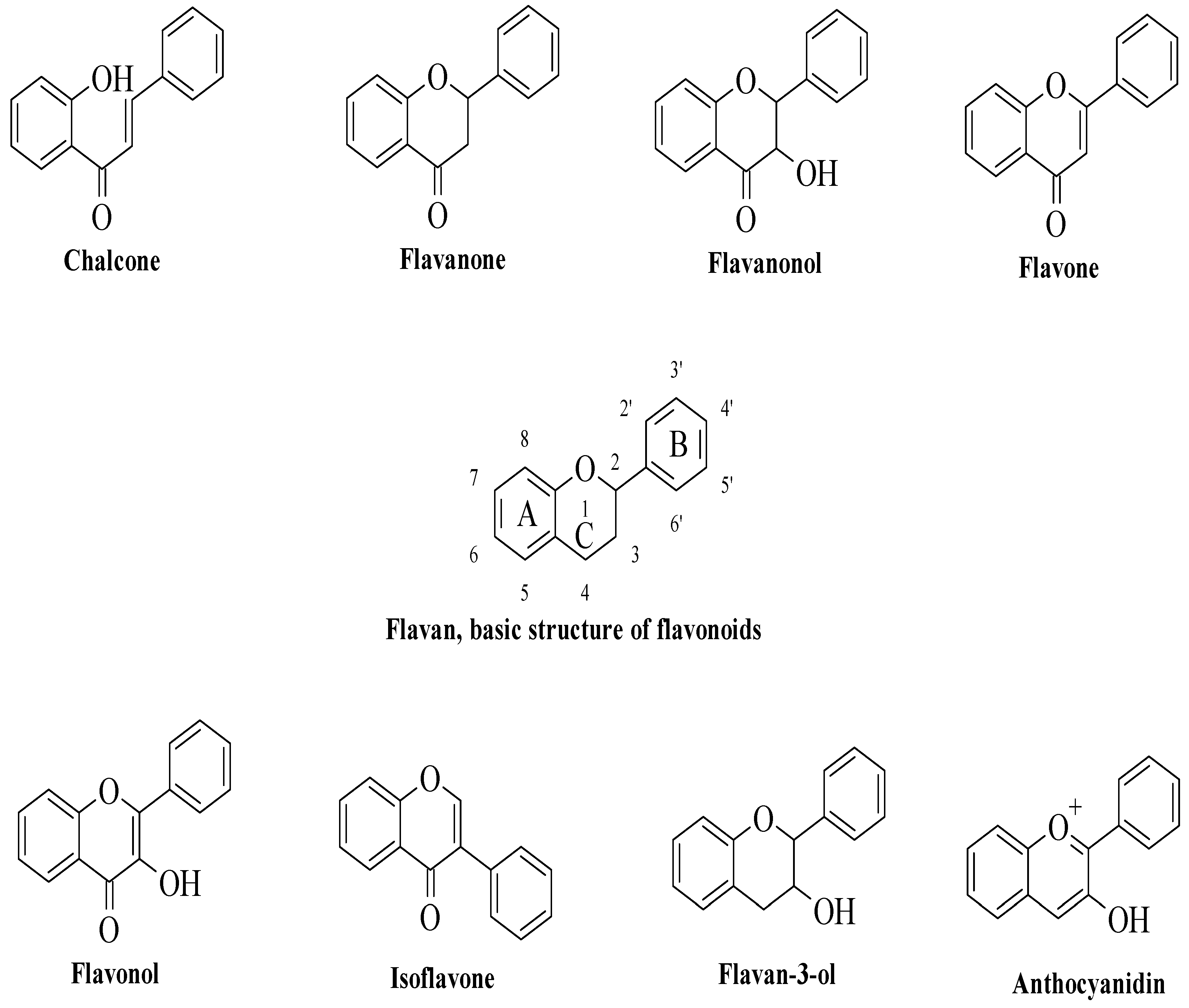 Flavonoids From Mulberry Leaves Fml Administration Reduced Body