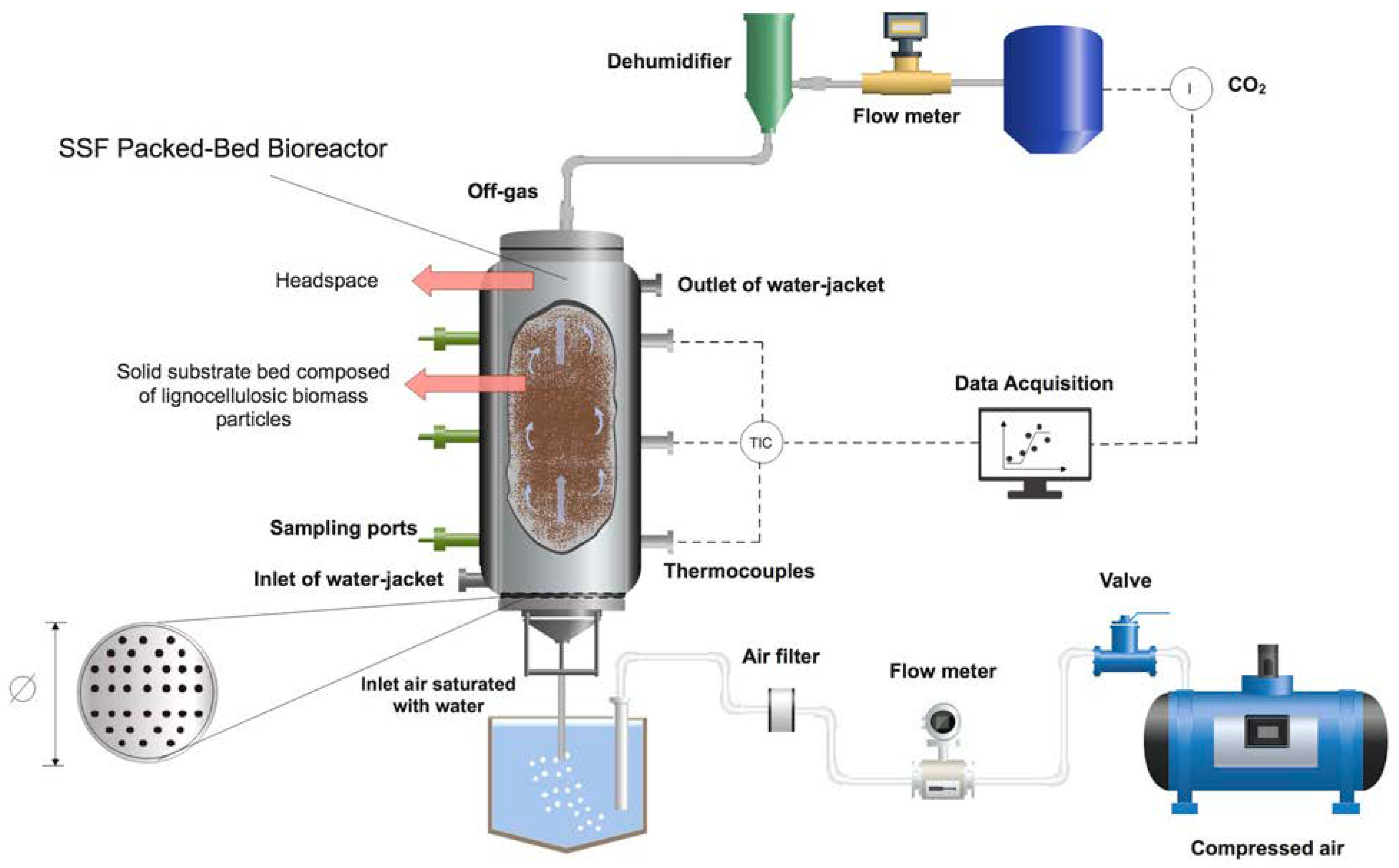 A Bioreactor B Bioreactor Connected To The Peristaltic Pump With