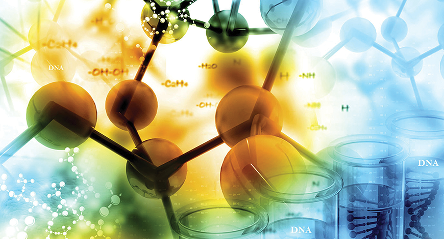 Biochemistry And Molecular Biology Major To Career Roadmap Career Center
