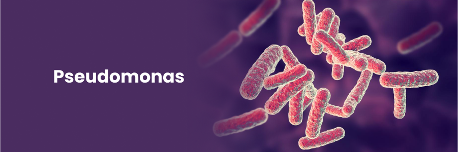 Pseudomonas Sp T75 Semantic Scholar